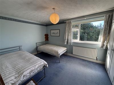 Picture 13